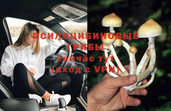 твердый Абдулино