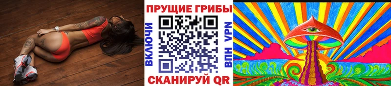 Галлюциногенные грибы Cubensis  наркошоп  Бугуруслан 